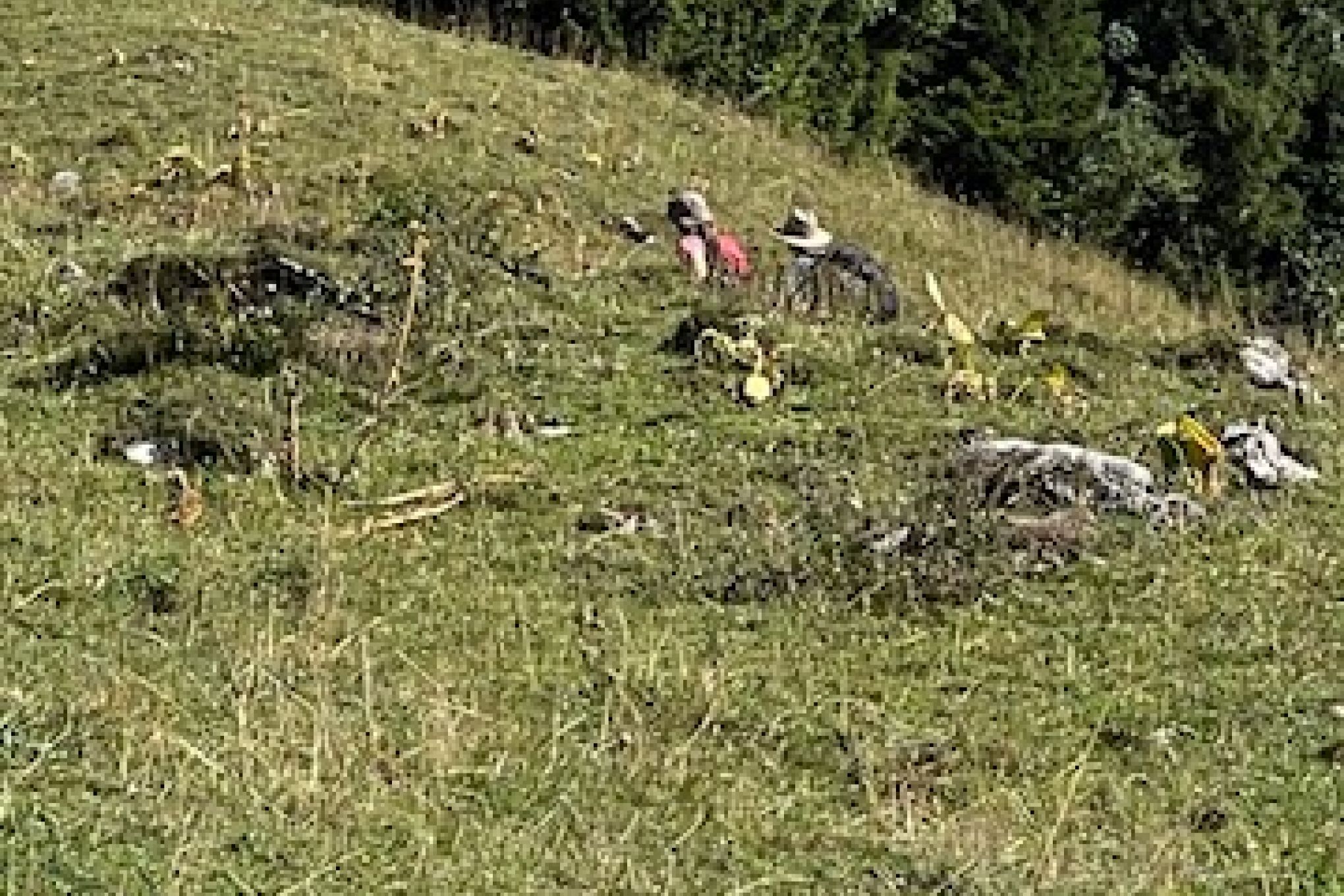 Wanderung am Rande des Vanil Noir