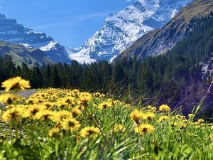 Berglust Moments - Erlebniswanderung Griesalp (Kiental)