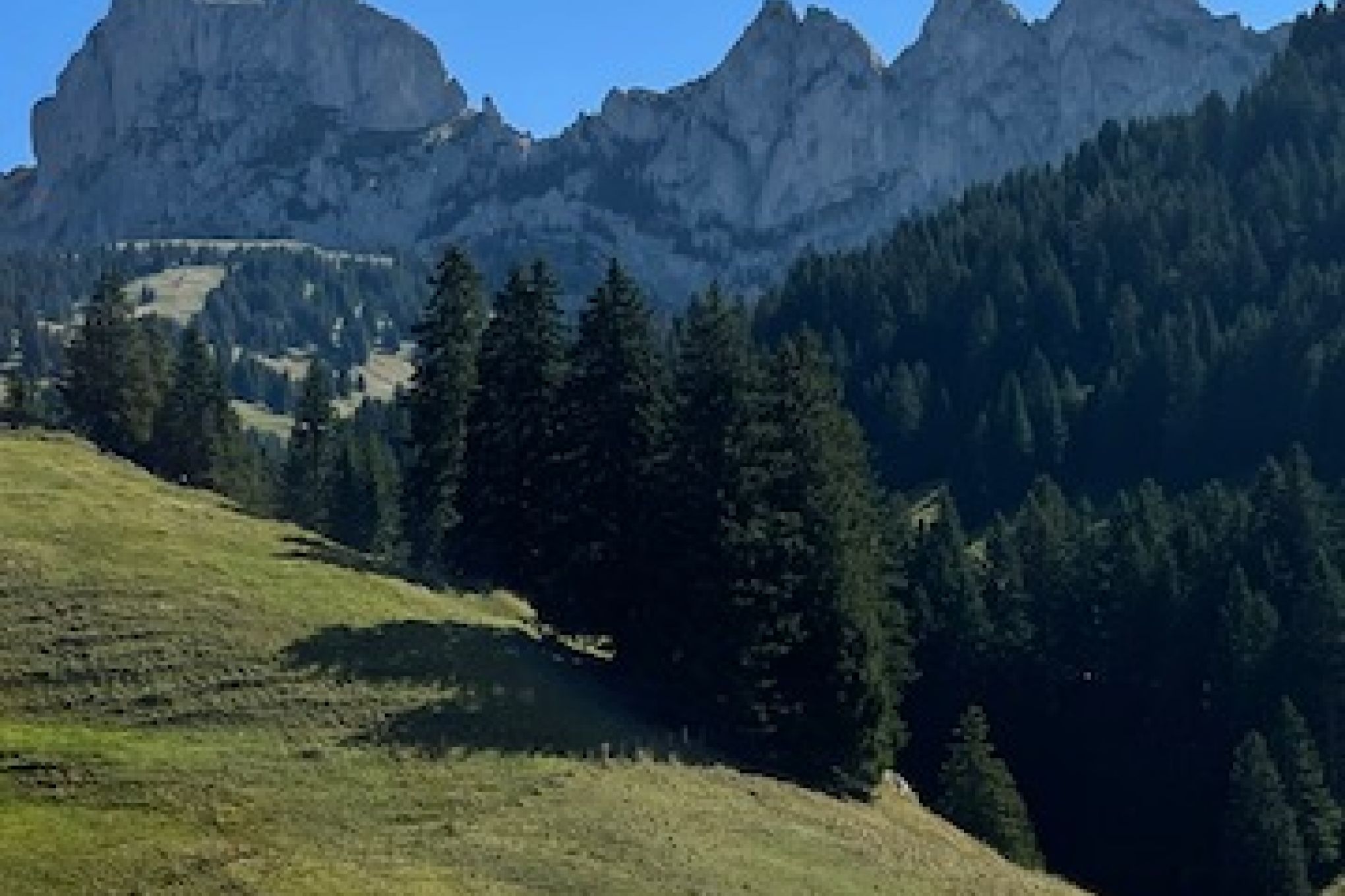 Wanderung am Rande des Vanil Noir