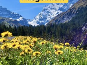 Berglust Moments - Erlebniswanderung Griesalp (Kiental)