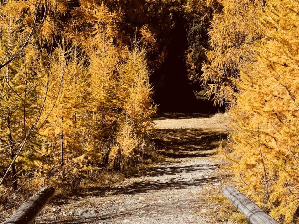 15 Wander-Regeln für den Herbst
