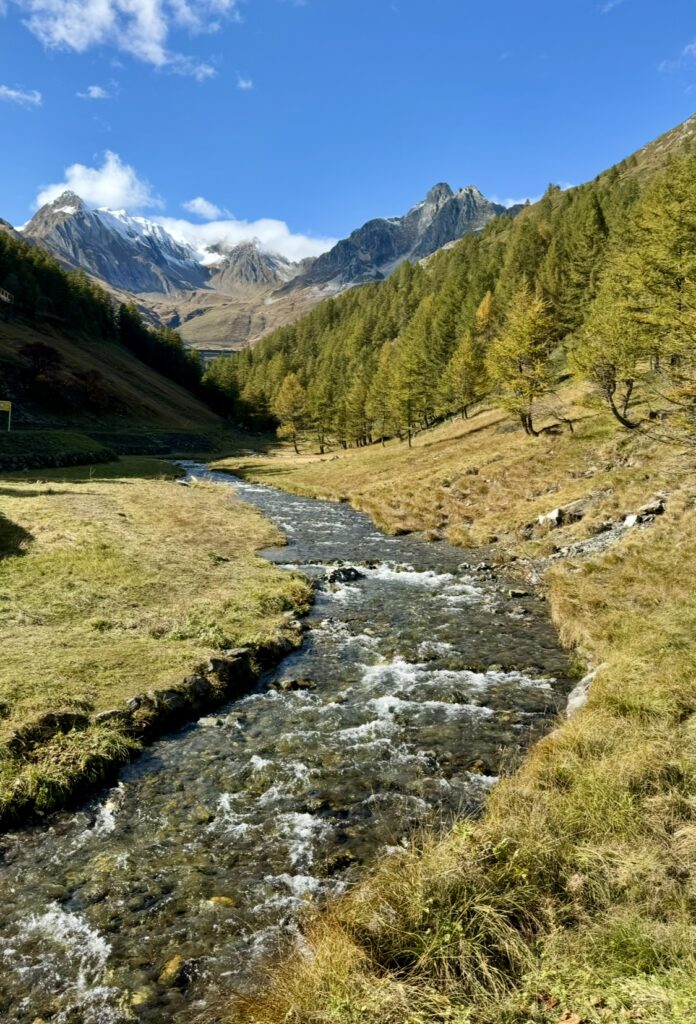 Klarer Bergbach in alpiner Landschaft - Blick auf schneebedeckte Gipfel und herbstliche Lärchen. Natur pur beim Soft Hiking.