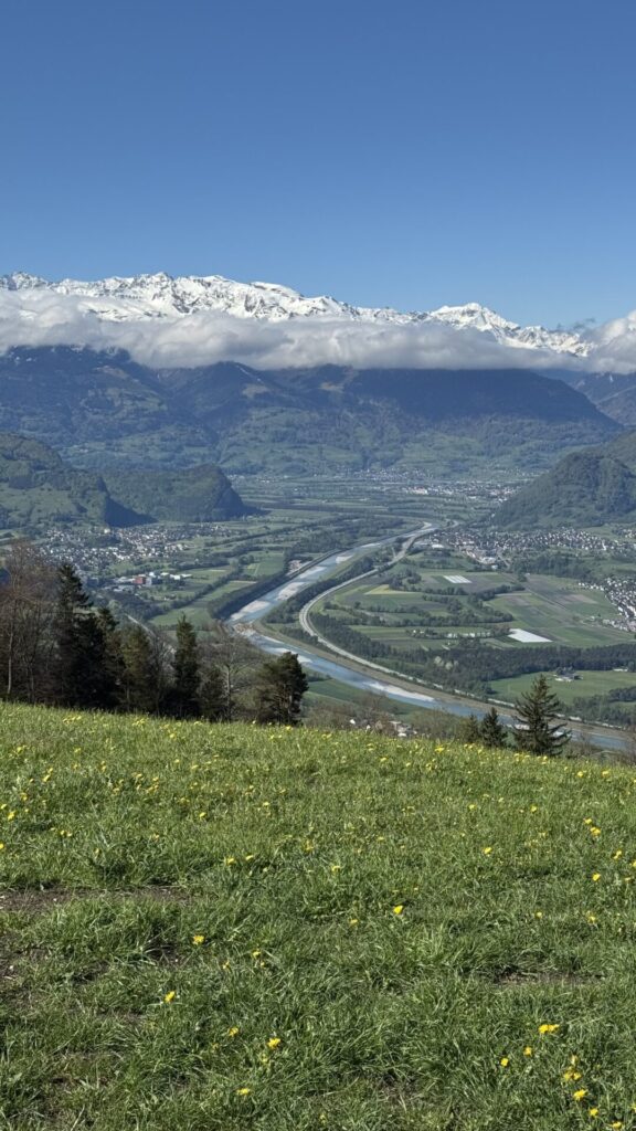 Blick vom Trirsberg ins Rheintal mit Frühlingswiese und verschneiten Bergen im Hintergrund